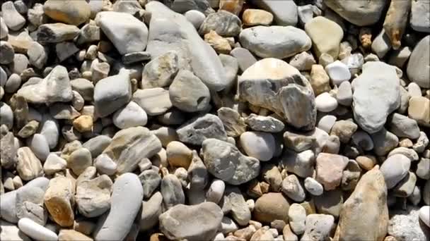 Texture of pebbles at sea — Stock Video