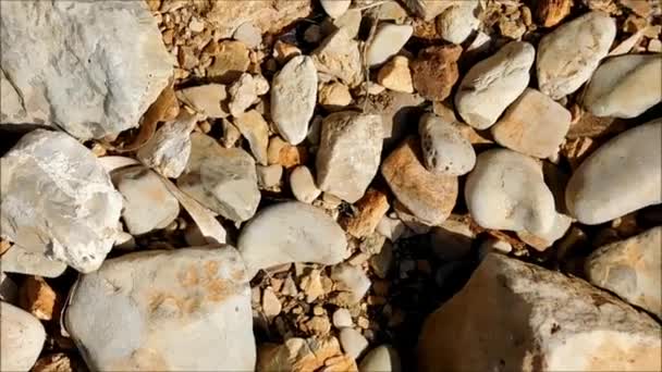 纹理的鹅卵石在海上 — 图库视频影像