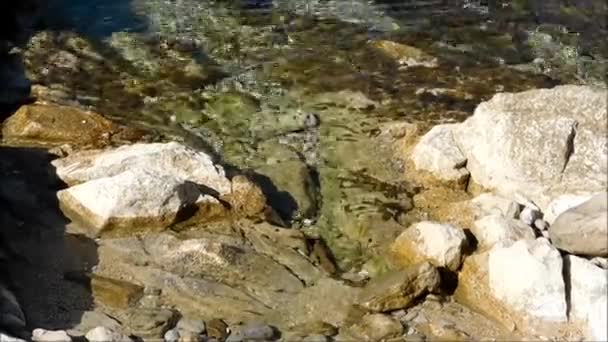 Mare con rocce aperte — Video Stock