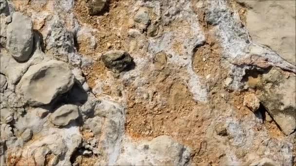 Texture de pierre à l'extérieur dans le jardin 