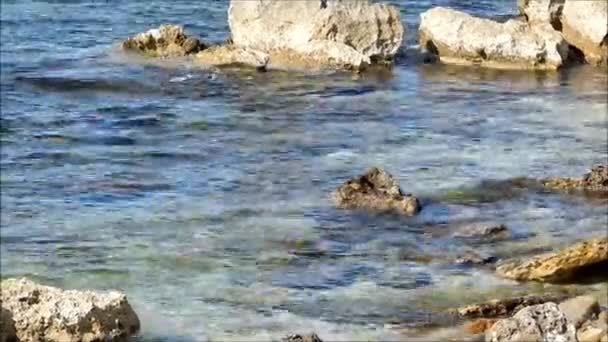 Meer mit offenen Felsen — Stockvideo