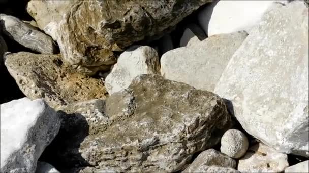 Textura de pedras e rochas ao ar livre — Vídeo de Stock