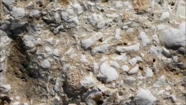 Texture de pierre dans le jardin 