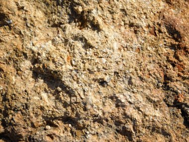 Taş dokusu bahçede