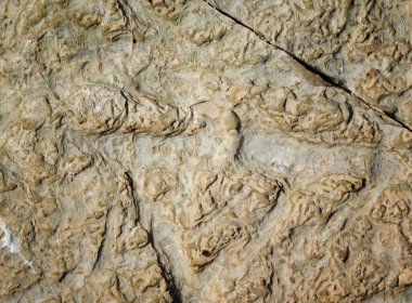 Taş dokusu bahçede