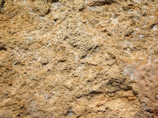Каменная текстура в саду — стоковое фото