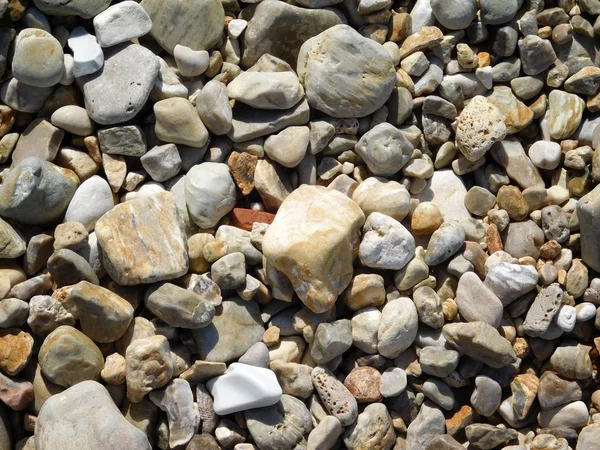 Texture of pebbles at sea — Stock Photo, Image