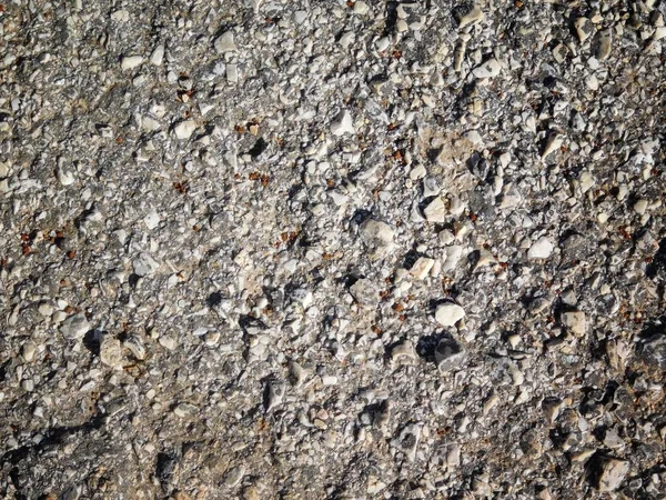 Textura de asfalto en la calle —  Fotos de Stock