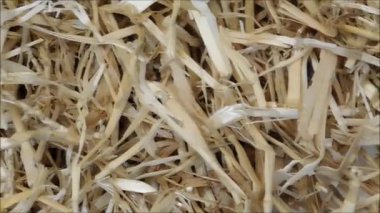 Bahçedeki saman doku