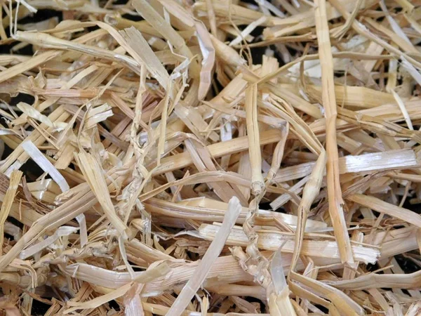 Textura de paja en el jardín — Foto de Stock