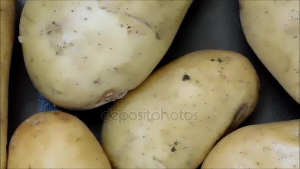 Texture de pomme de terre à manger — Video