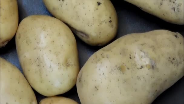 Potatis konsistens att äta — Stockvideo