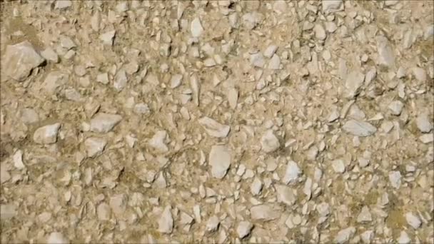Texture di pietre in giardino — Video Stock