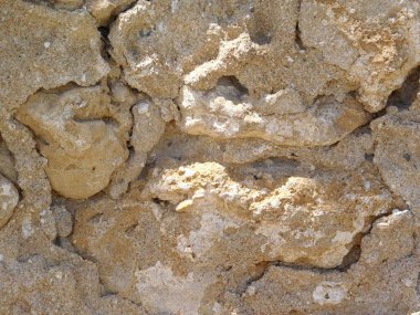 Taş dokusu bahçede