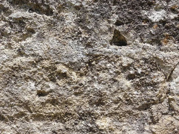 Каменная текстура в саду — стоковое фото