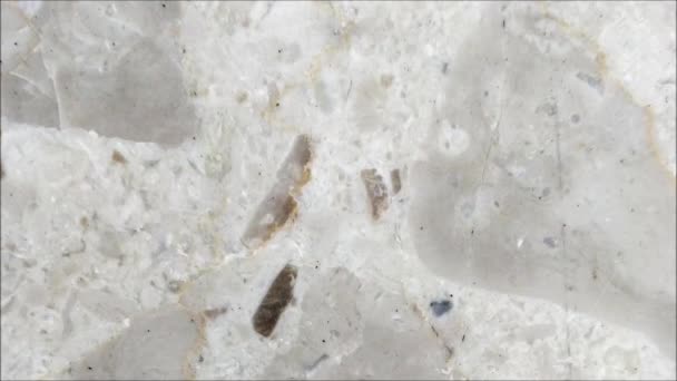 Textura de mármol en el jardín — Vídeo de stock