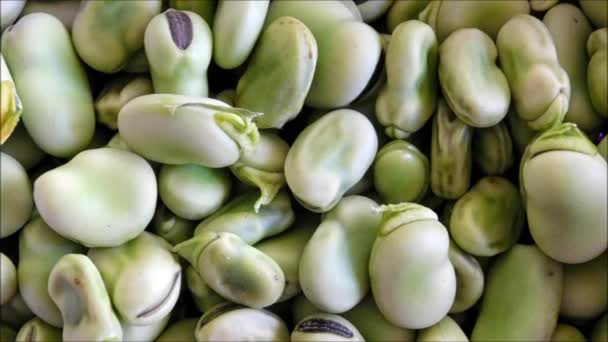 Fava Bean Textur in der Küche — Stockvideo