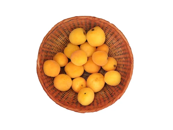 Aprikosen auf weißem Hintergrund — Stockfoto