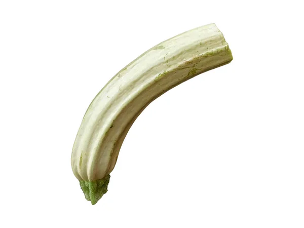 Zucchini on white background — Stock Photo, Image