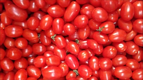 Texture of tomatoes in the kitchen — Stock Video