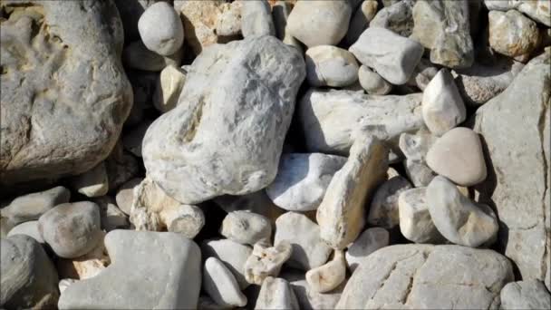 Текстура каменів в саду — стокове відео
