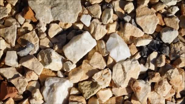 Текстура камней в саду — стоковое видео