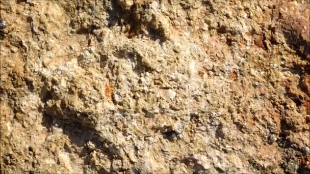 Textura de piedra en el jardín — Vídeos de Stock