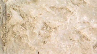 Bahçede açık havada Taş dokusu