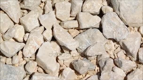 Textur der Steine im Garten — Stockvideo