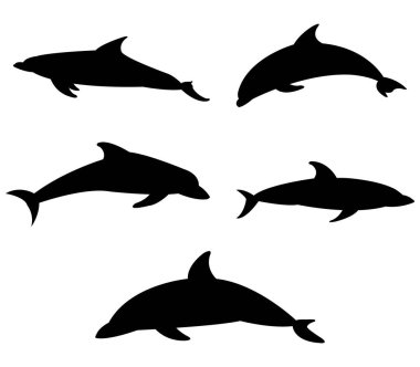 Yunus simgesi beyaz arka plan üzerinde