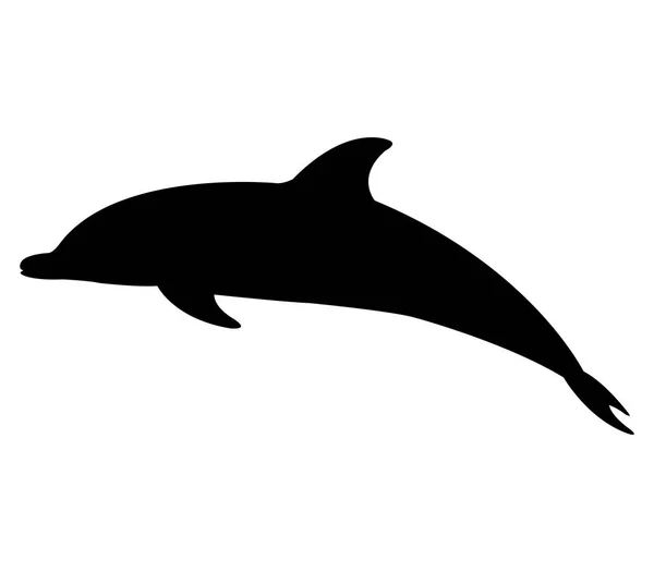 白色背景上的海豚图标 — 图库矢量图片