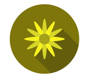 beyaz arkaplanda çiçek simgesi