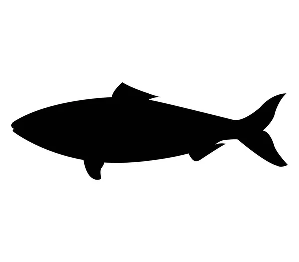 Fish Icon White Background — Stock Vector