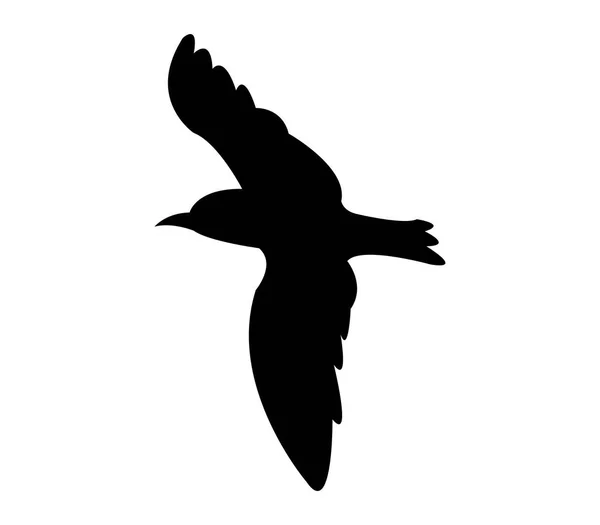 Silhouette Mouette Sur Fond Blanc — Image vectorielle