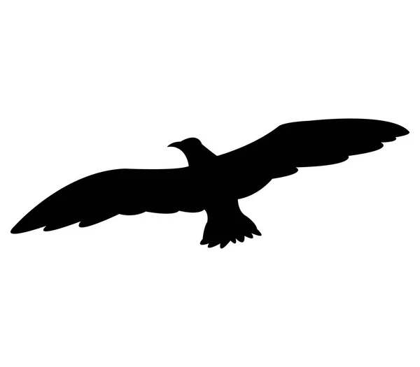 Silueta Gaviota Sobre Fondo Blanco — Vector de stock