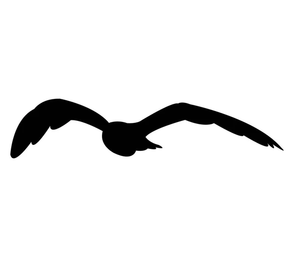 Silueta Gaviota Sobre Fondo Blanco — Vector de stock