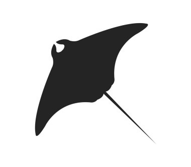 Manta balık beyaz arka plan üzerinde