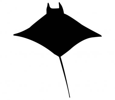 Manta balık simgesi beyaz arka plan üzerinde