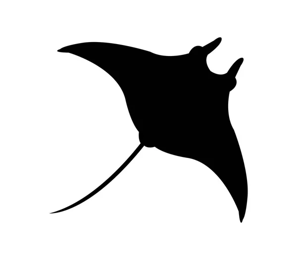 Manta Fisch Symbol Auf Weißem Hintergrund — Stockvektor