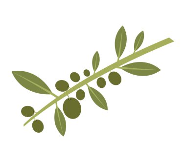 Beyaz arkaplanda zeytin simgesi