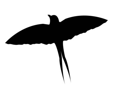 simgesi beyaz arka plan üzerinde yutmak