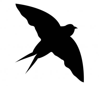 simgesi beyaz arka plan üzerinde yutmak