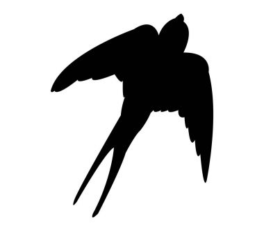 simgesi beyaz arka plan üzerinde yutmak