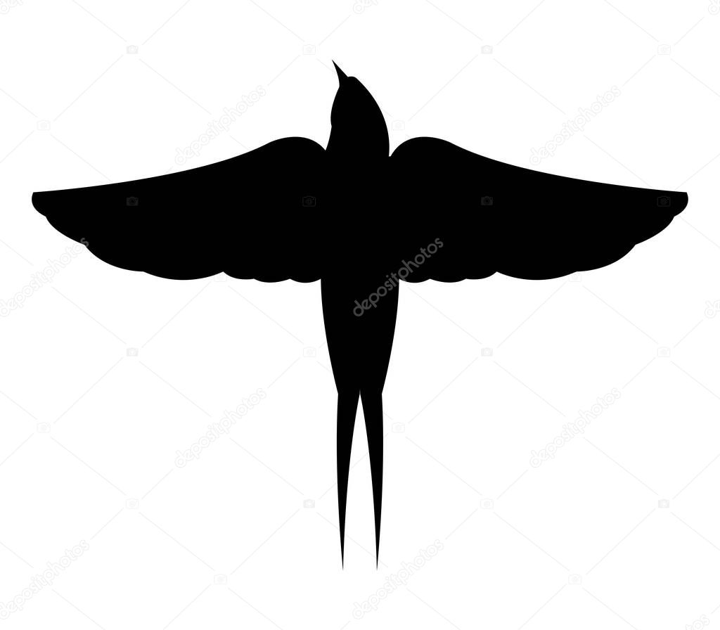 swallow icon on white background