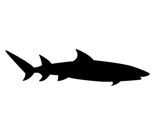 Hai Symbol Auf Weißem Hintergrund — Stockvektor