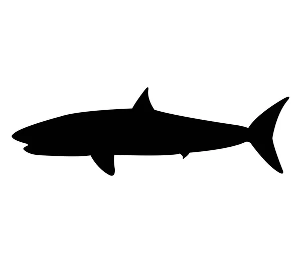 Shark Icon White Background — Stock Vector