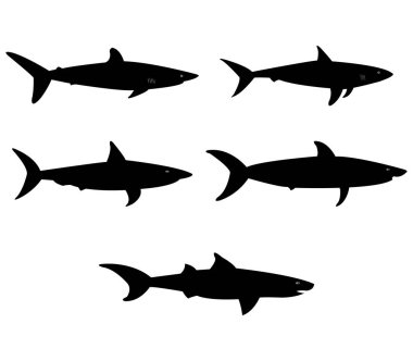 köpekbalığı simgesi beyaz arka plan üzerinde