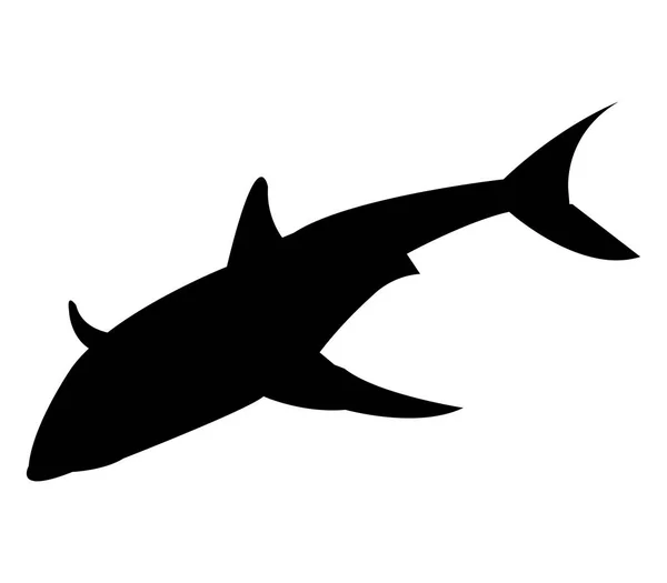 Shark Icon White Background — Stock Vector