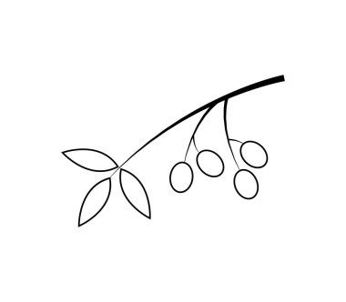 Beyaz arkaplanda zeytin simgesi