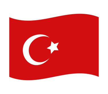 Hindi bayrağı. vektör illüstrasyonu.